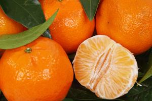 Mandarina