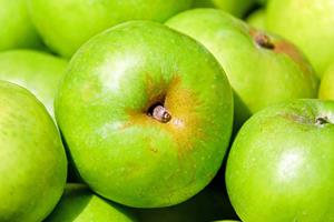 Manzana
