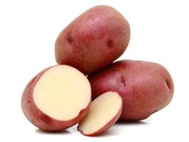 Patata Manitou