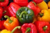 Pimiento