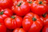 Tomate